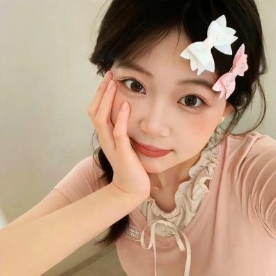 查尔斯天鹅三世的心灵