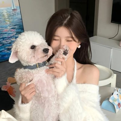 野良猫洛克:女番长